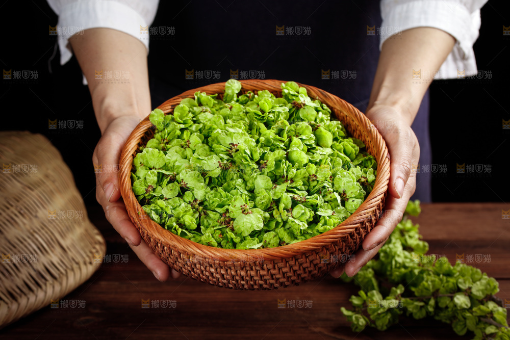 手里端着一篮榆钱