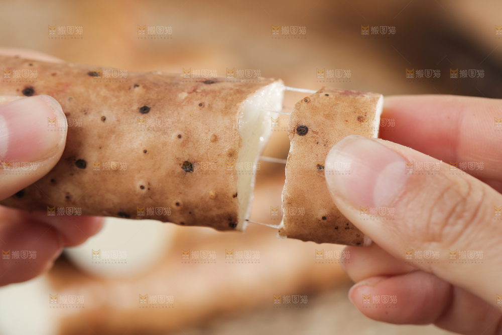 手里拿着山药