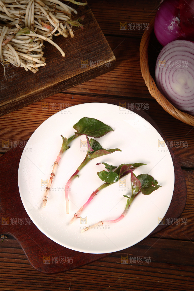鲜嫩折耳根
