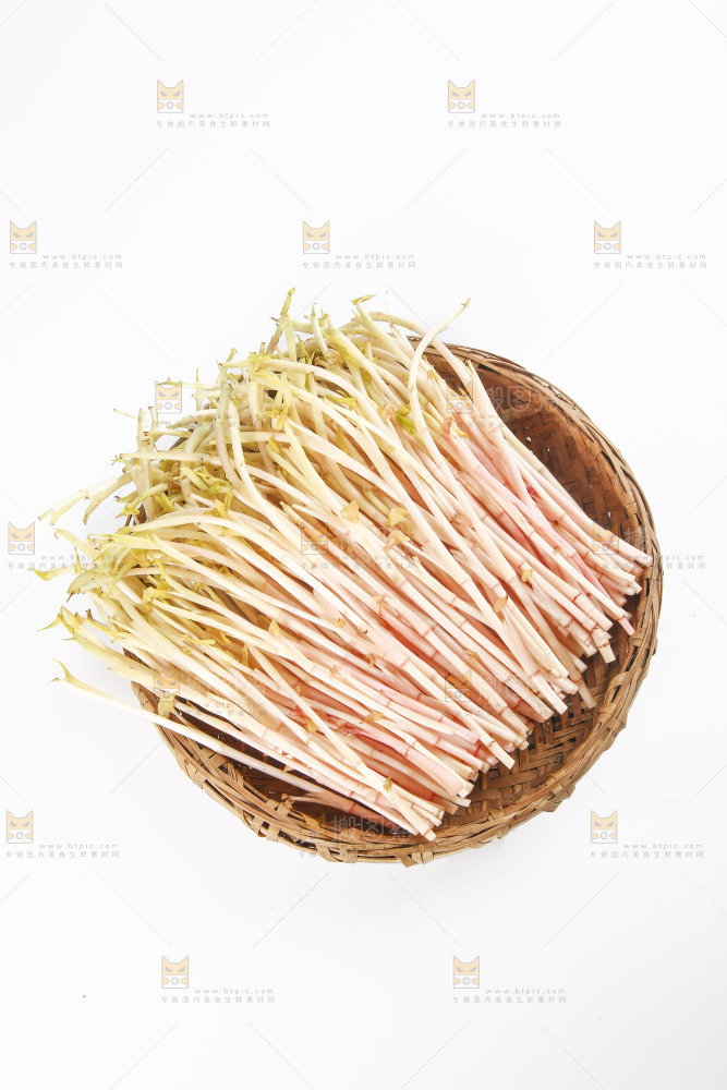 一篮折耳根嫩芽