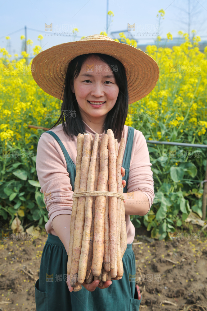手里拿着一捆铁棍山药