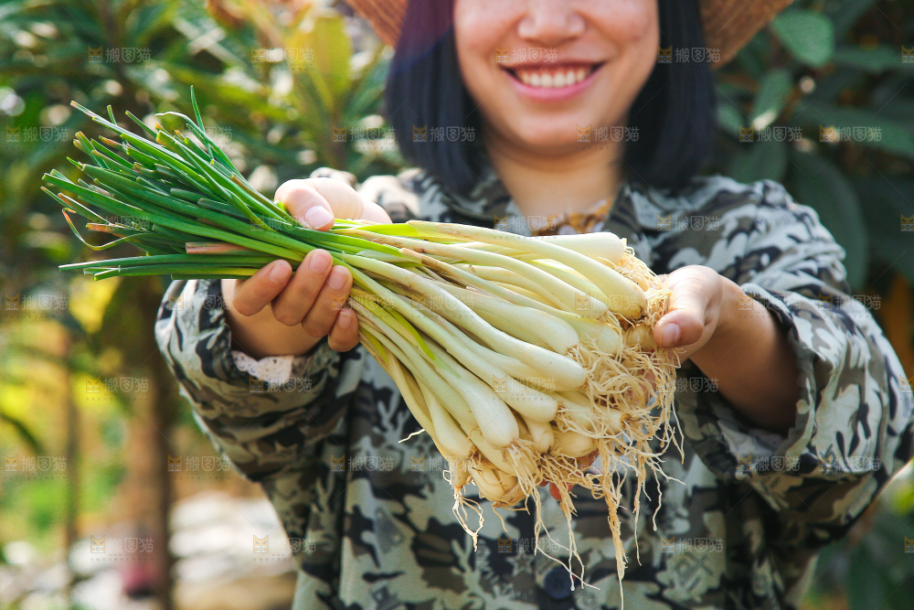 手里拿着荞头