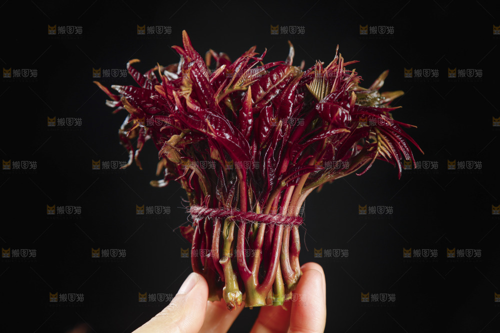 手里拿着香椿芽