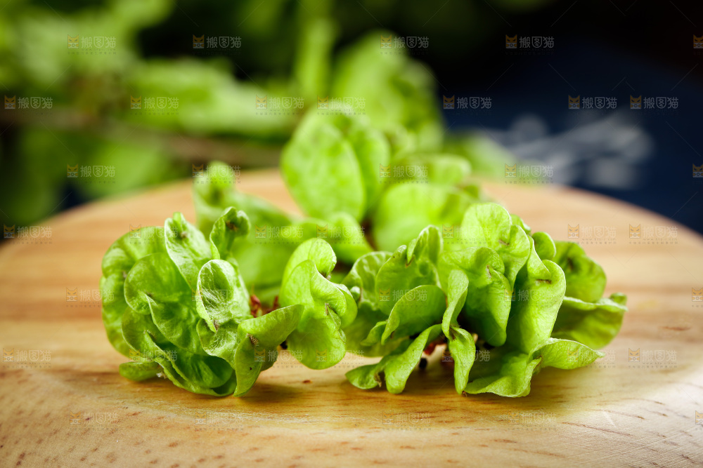 木底上的榆钱儿