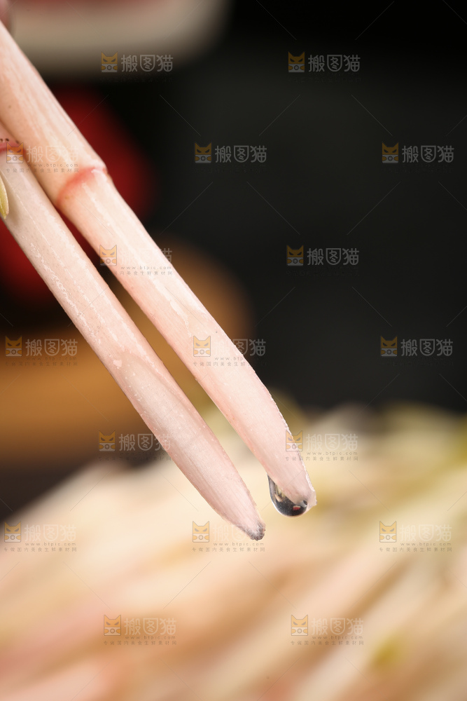 新鲜的鱼腥草嫩芽