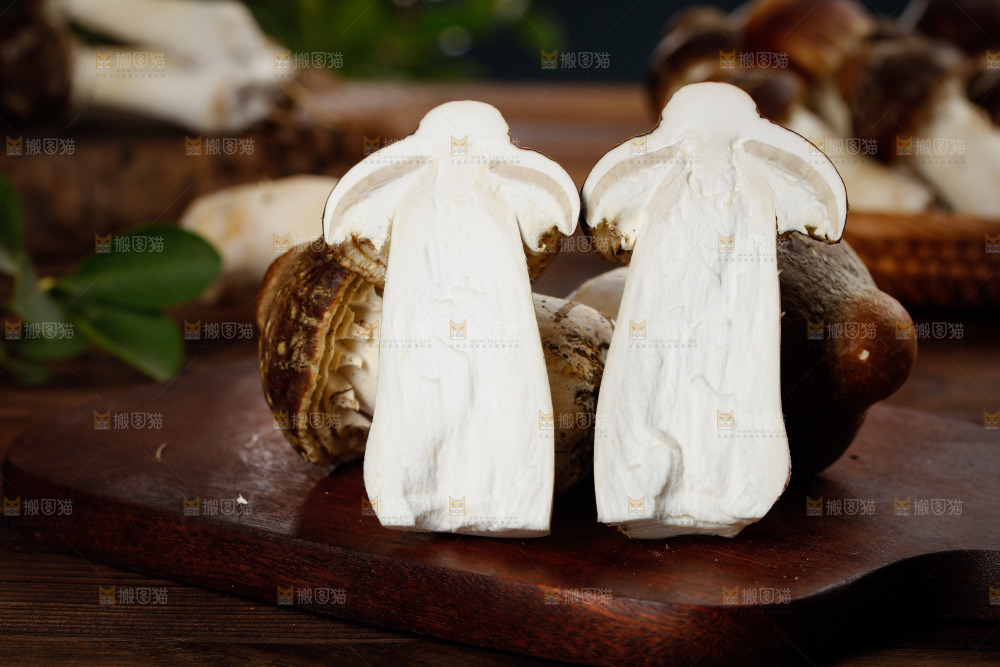 木板上放着松茸菇