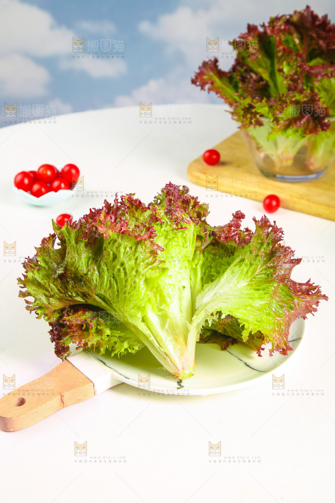 一盘红叶生菜