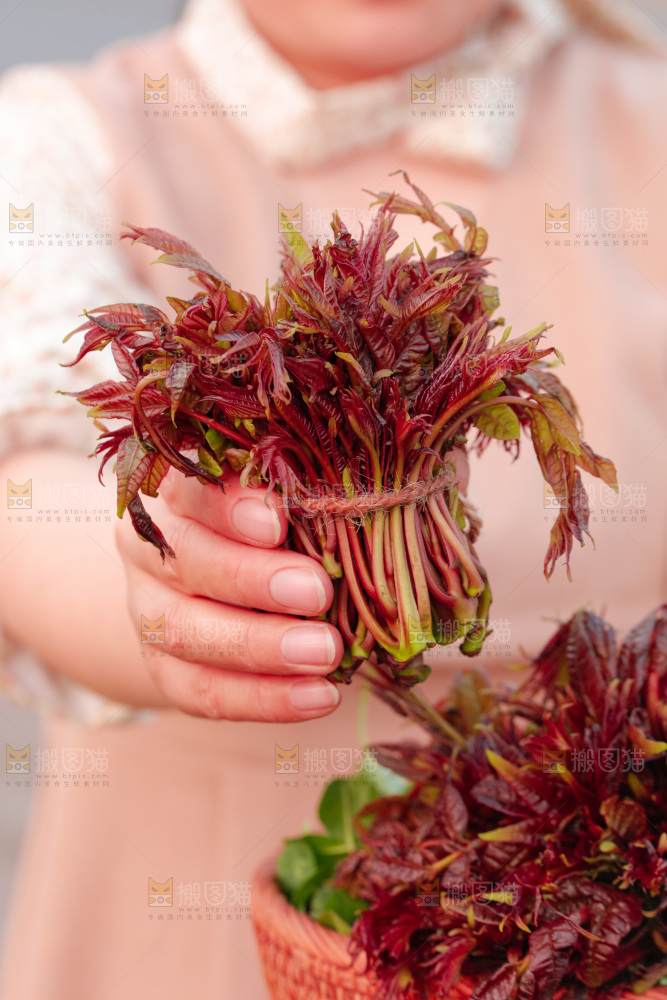 手里拿着香椿芽