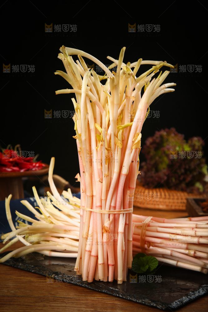 一堆鱼腥草嫩芽