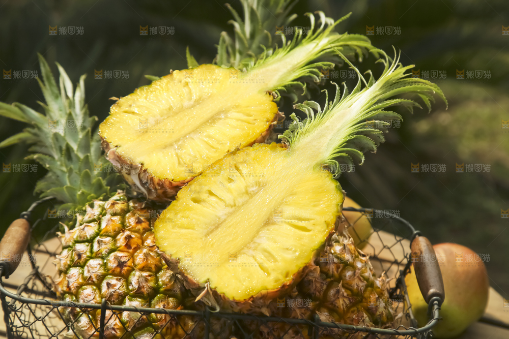 一篮徐闻菠萝