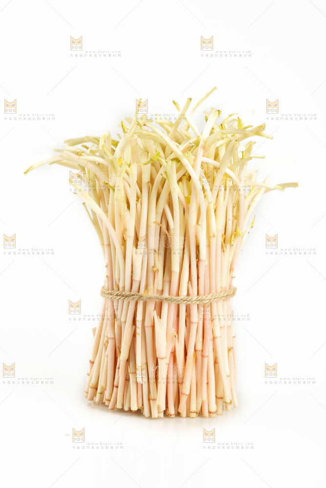 白底上放着折耳根嫩芽