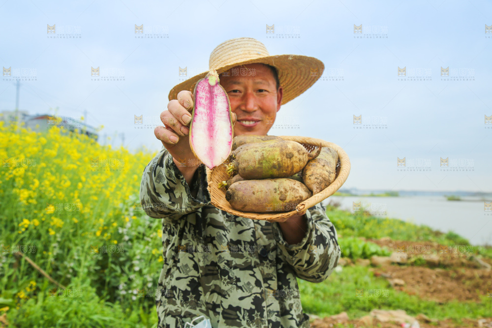 一簸箕冰激凌水果萝卜