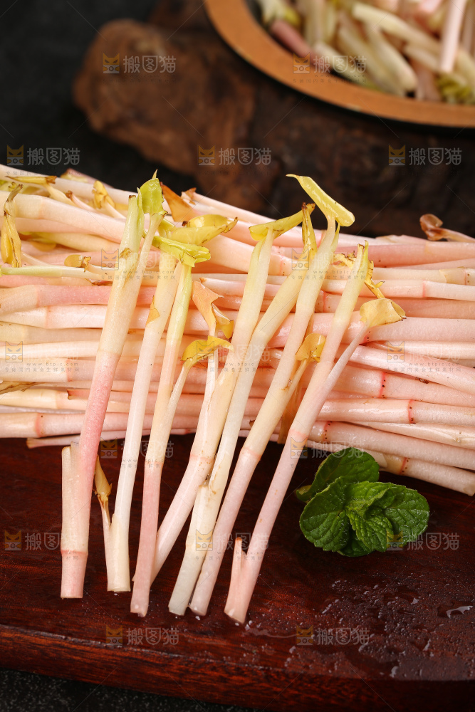 新鲜的鱼腥草嫩芽