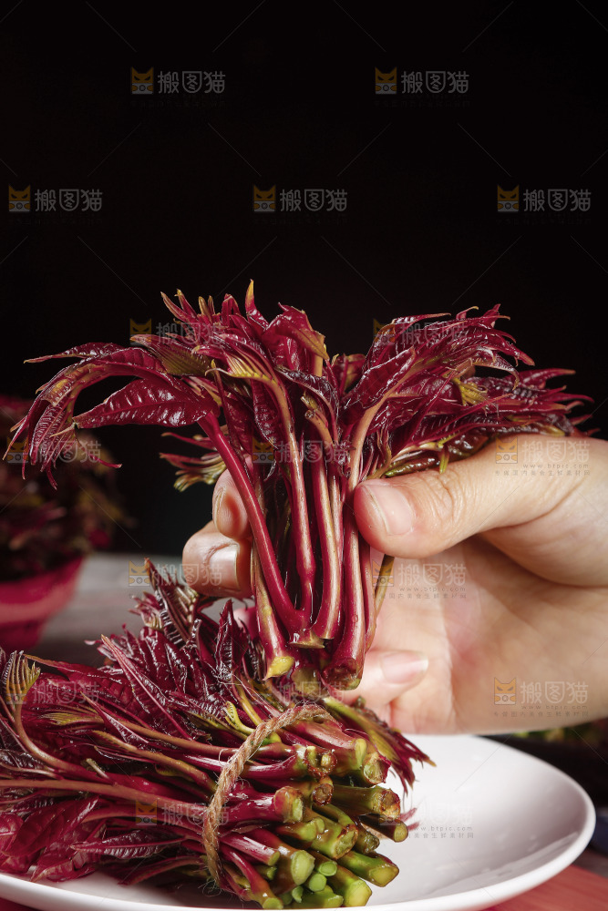 手里拿着红芽香椿