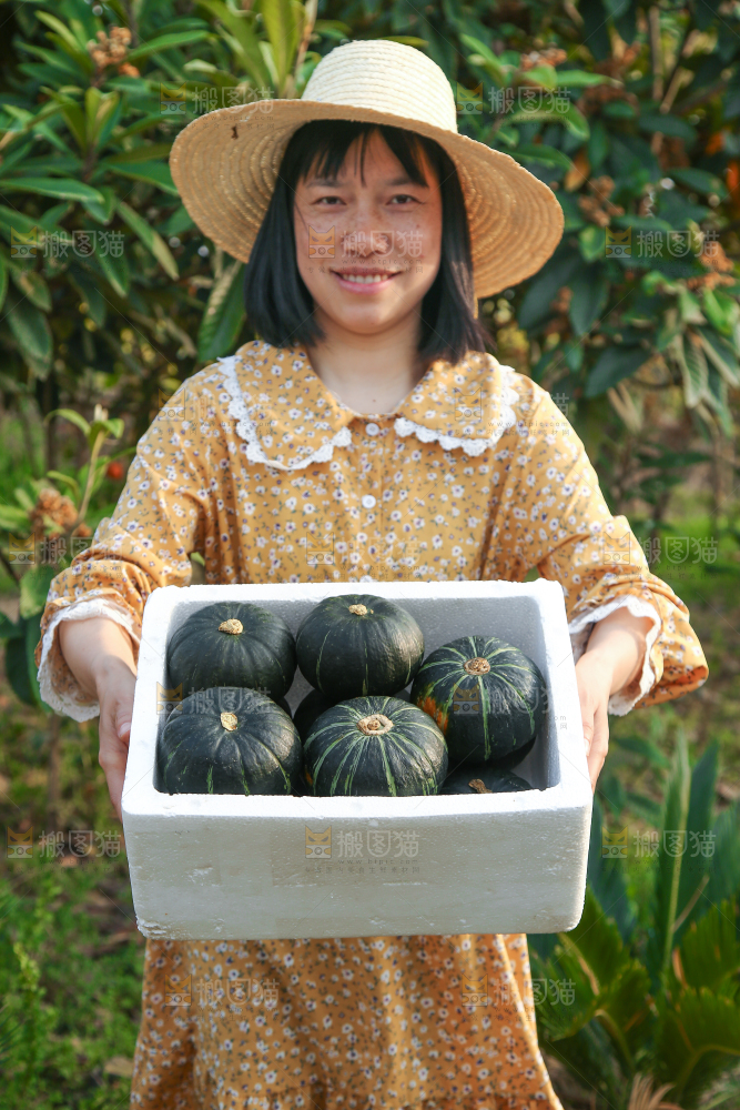 一箱贝贝小南瓜