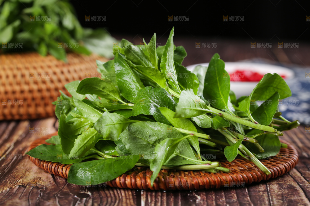 藤垫上放着枸杞菜芽