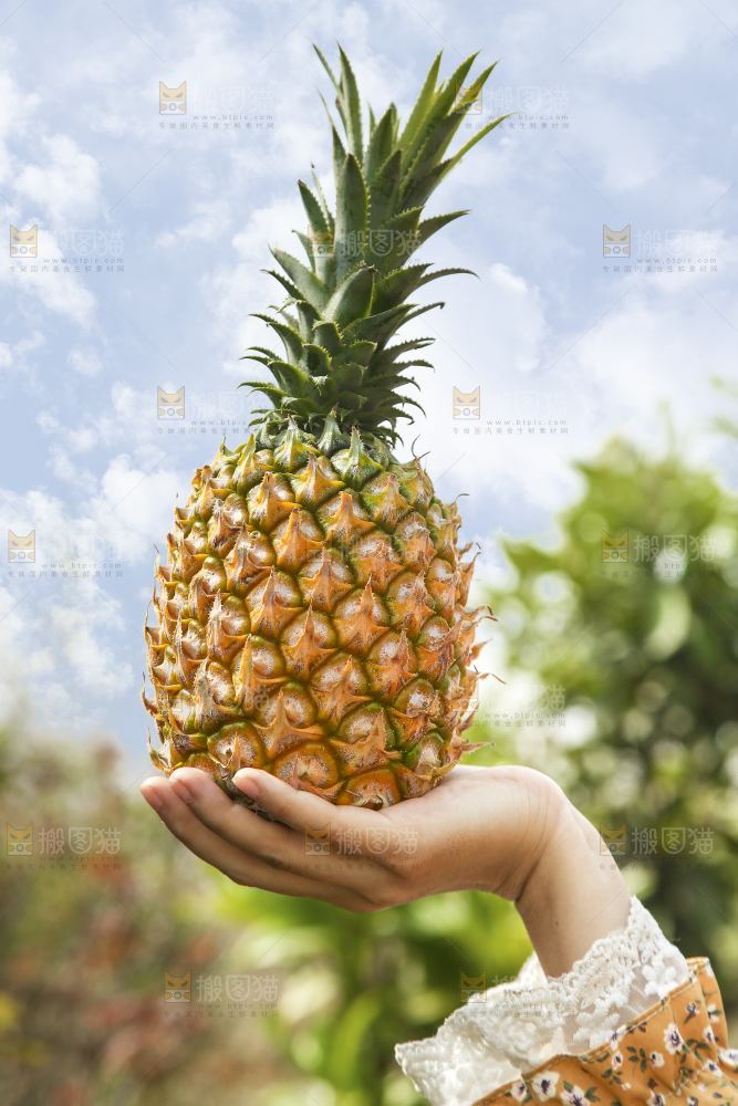 手里拿着菠萝