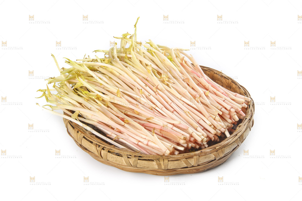 一篮折耳根嫩芽