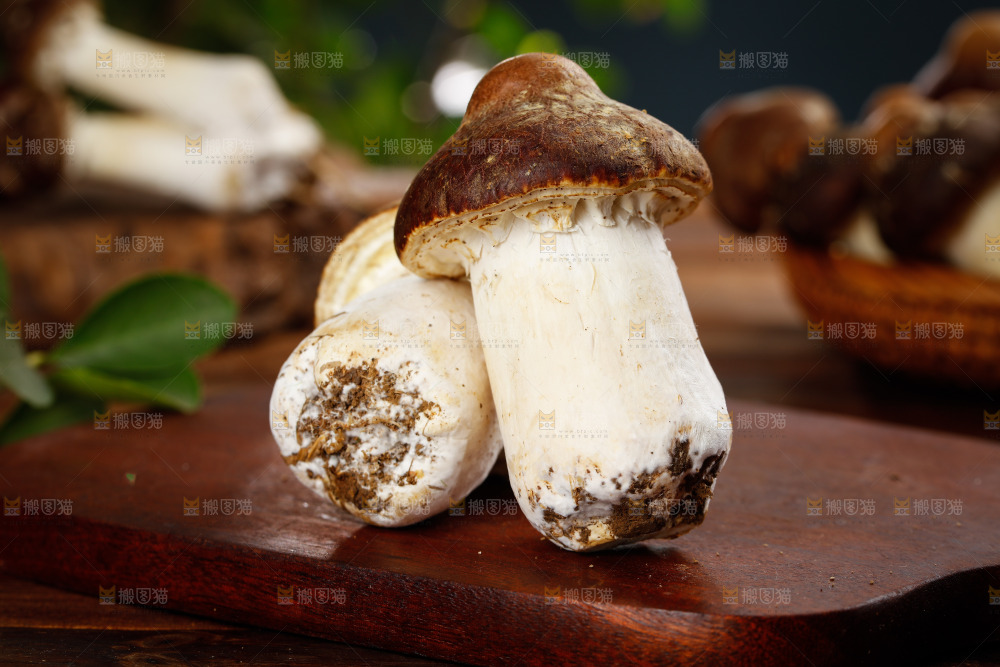 木板上放着松茸菇
