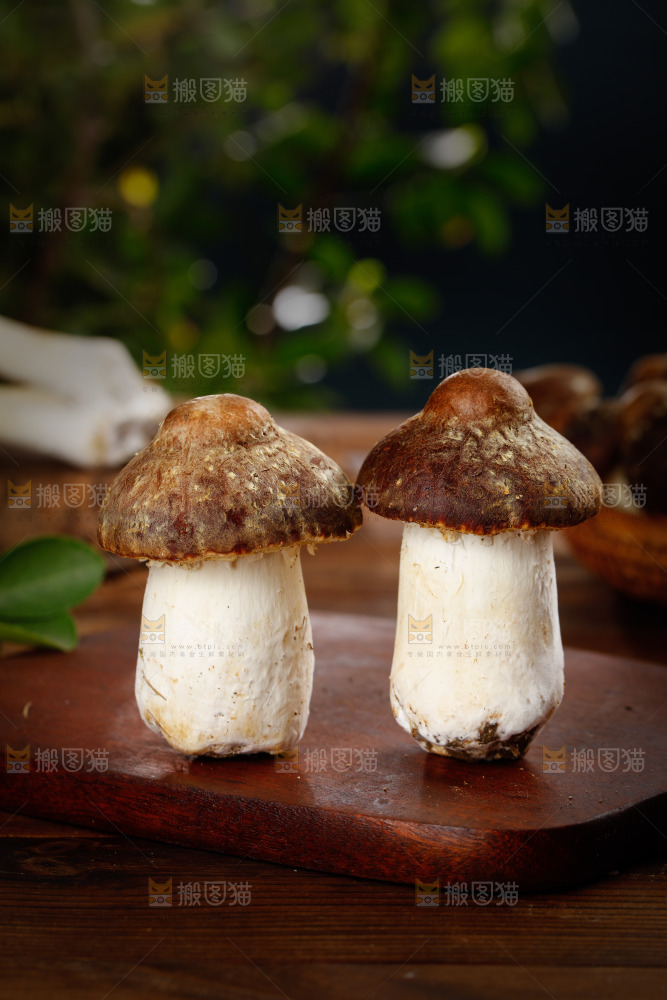 木板上放着松茸菇