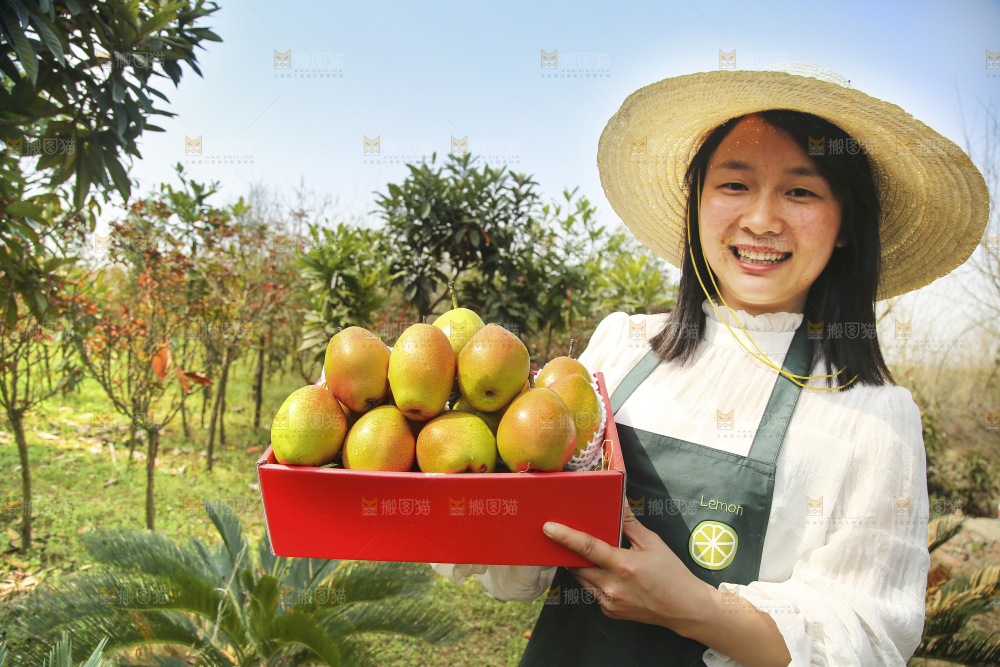 一箱红香酥梨