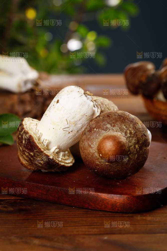木板上放着松茸菇