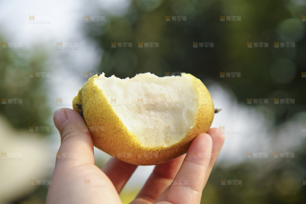 手里拿着香酥梨