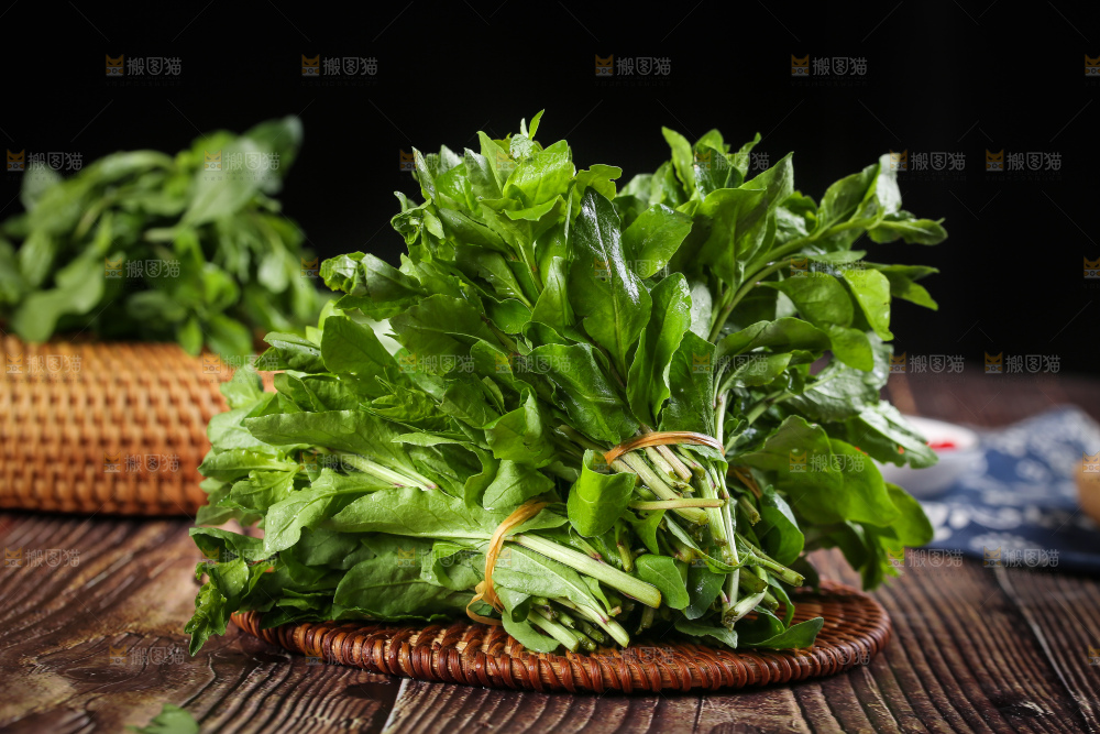 一堆新鲜枸杞菜