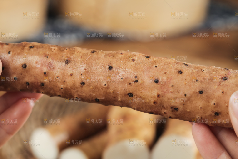 手里拿着山药