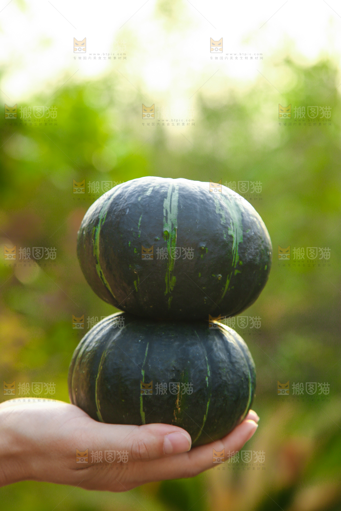 手里拿着贝贝小南瓜