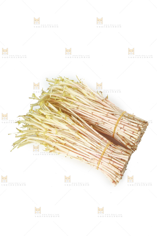 白底上放着折耳根嫩芽