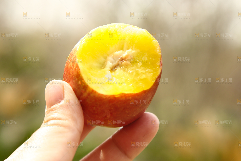 手里拿着桃驳李