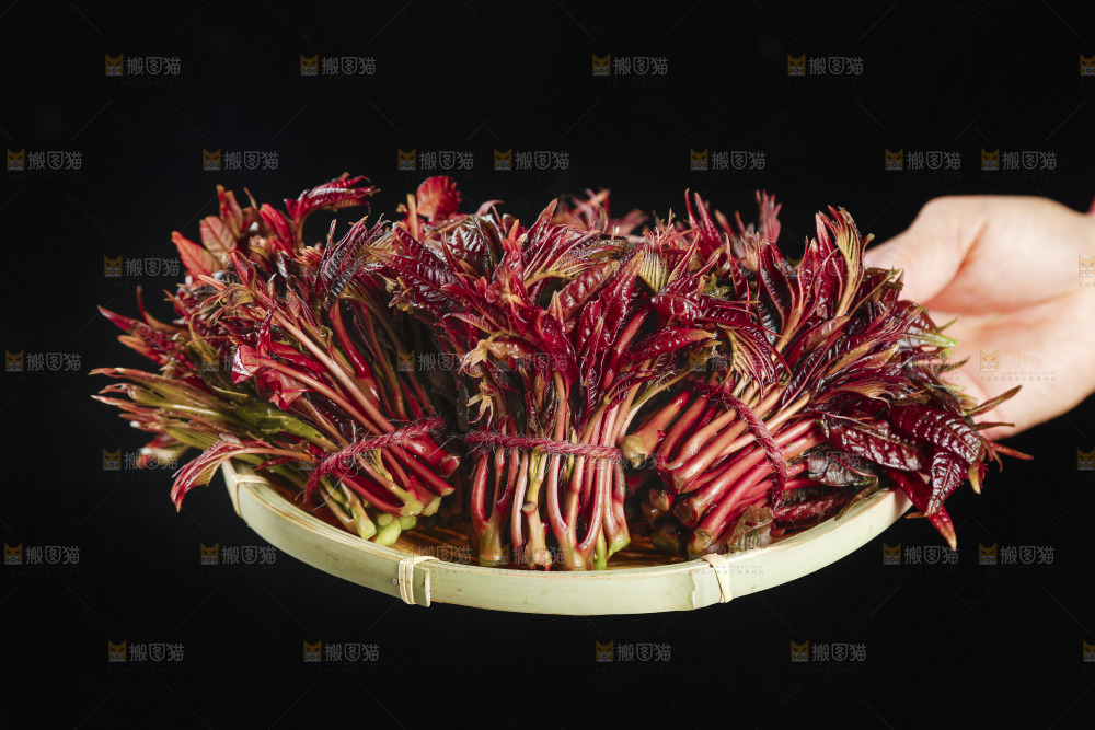 一篮红油香椿芽