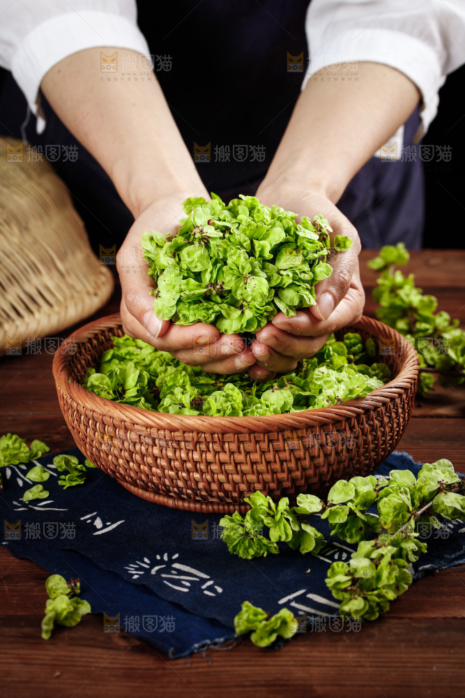 手里捧着榆钱叶