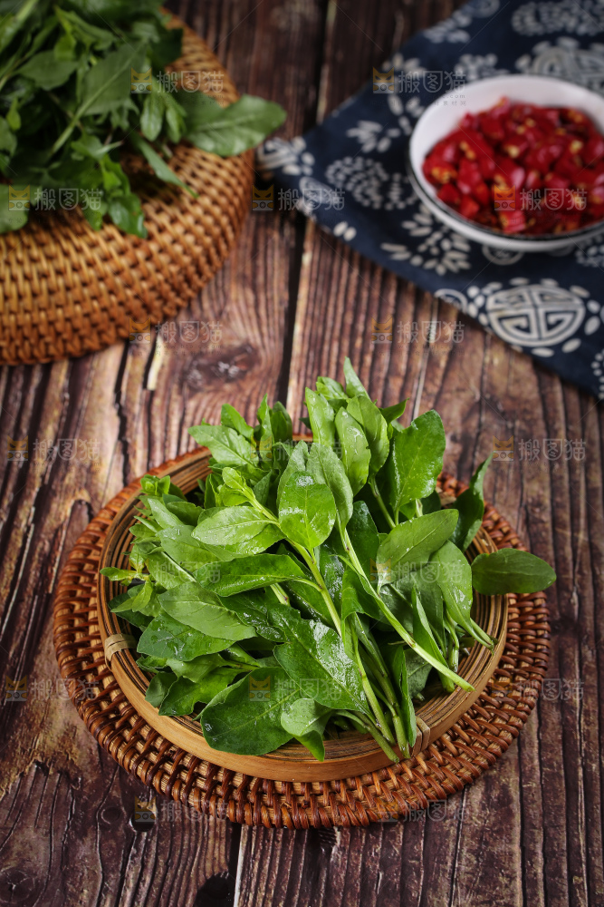 一篮枸杞嫩芽