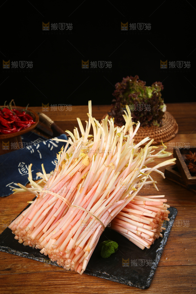 一堆鱼腥草嫩芽