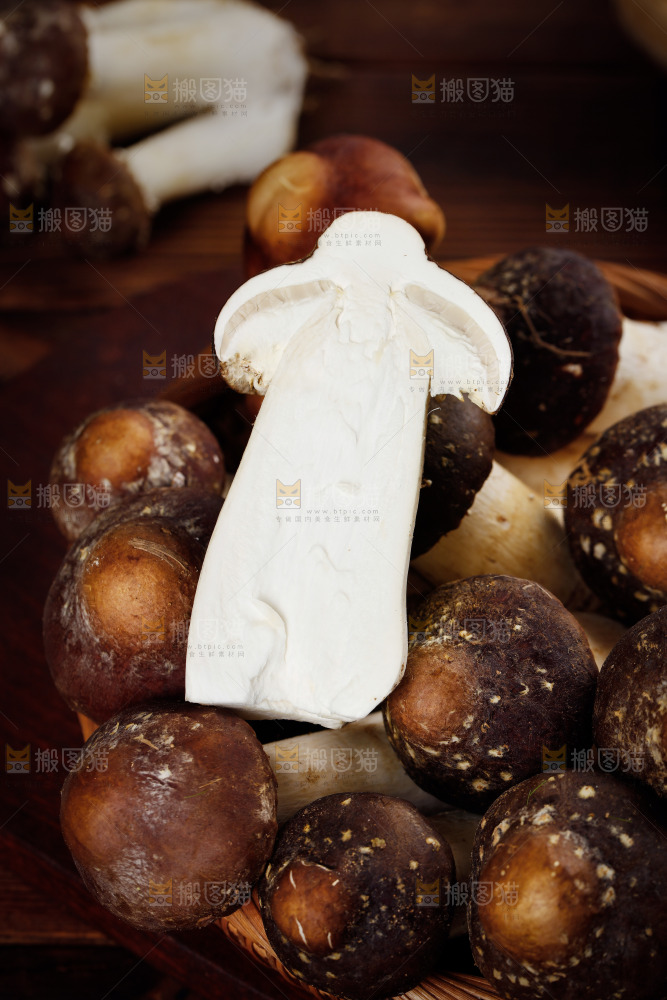 一篮新鲜松茸菇