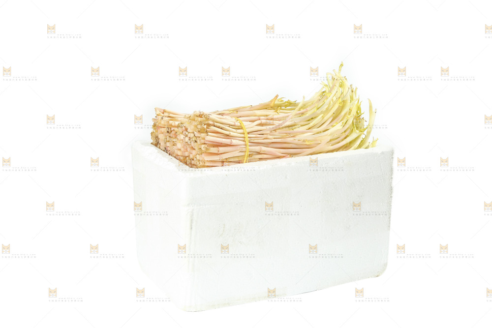 一箱新鲜鱼腥草嫩芽