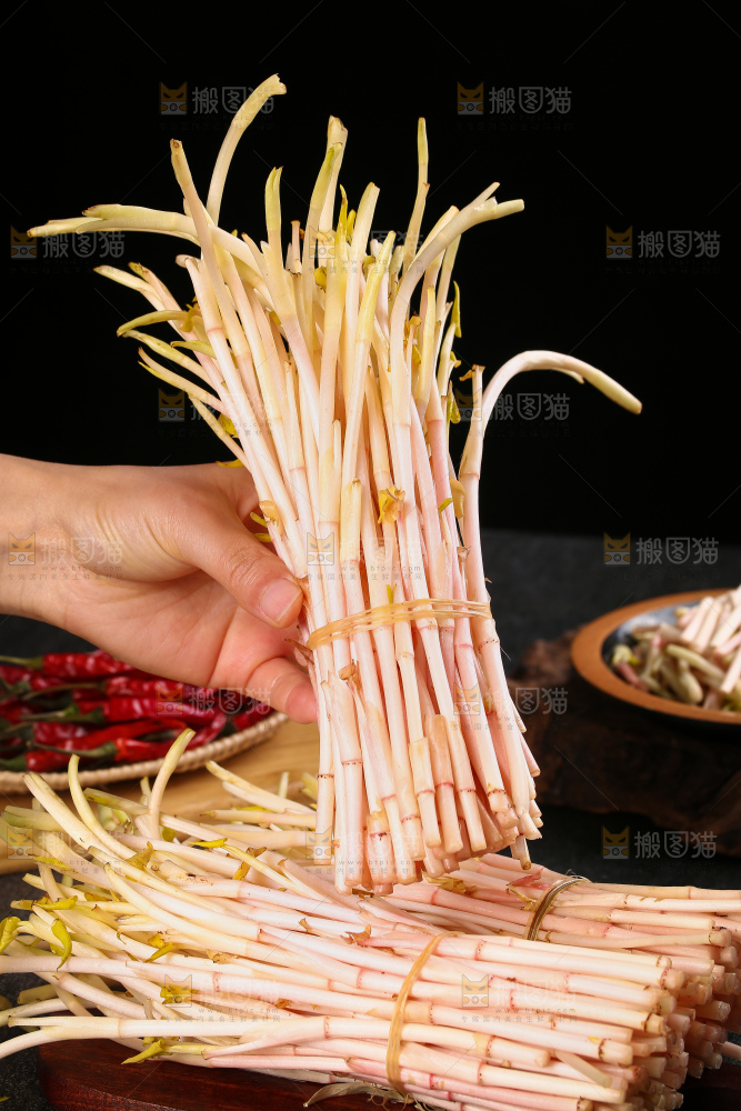 手里拿着折耳根嫩芽