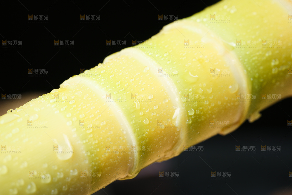 剥过皮的春笋