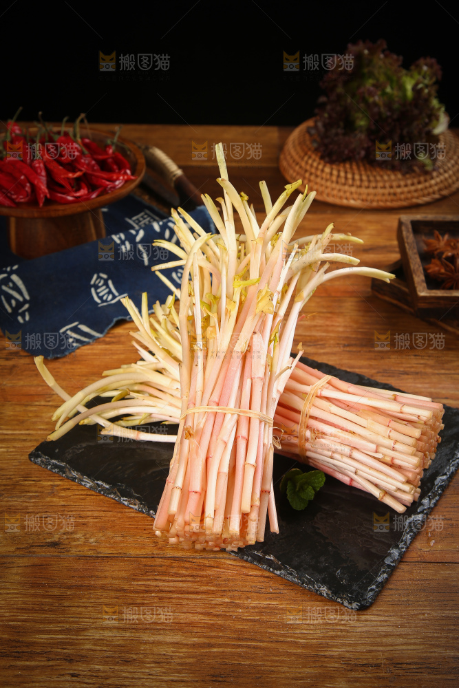 一堆鱼腥草嫩芽
