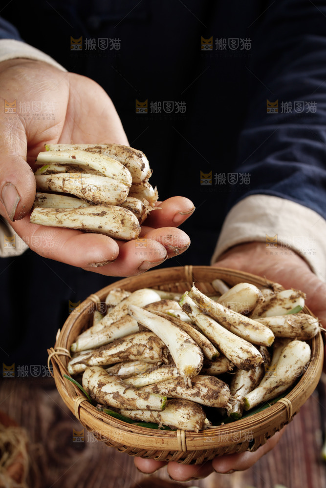 手里端着一篮无叶藠头