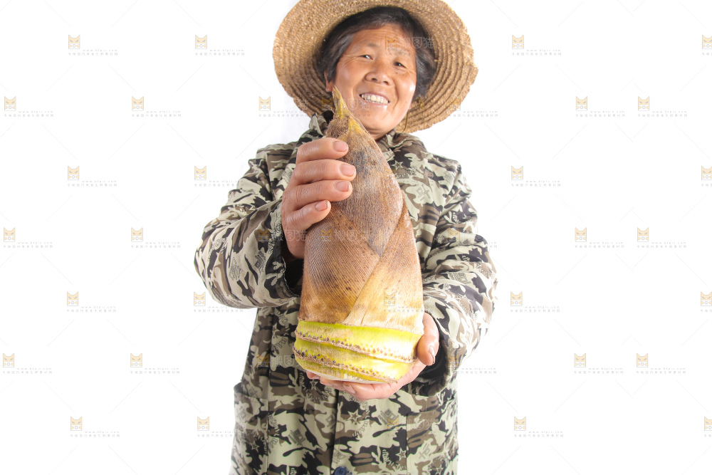 农民手里拿着黄泥大春笋
