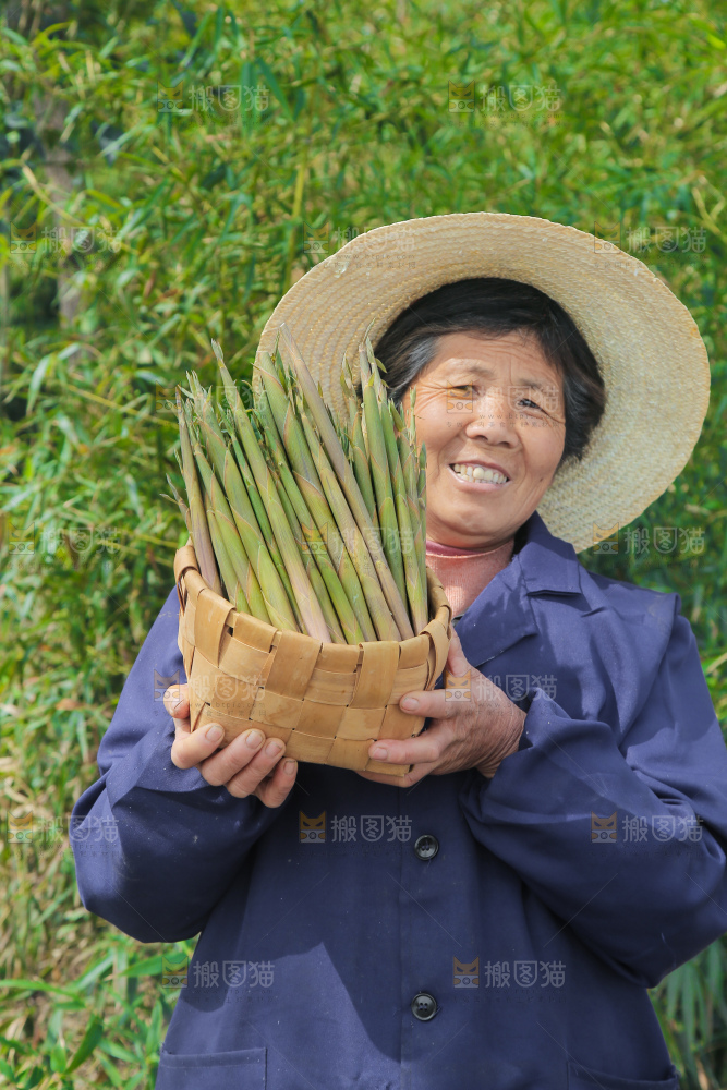 农民手里端着一篮小山笋