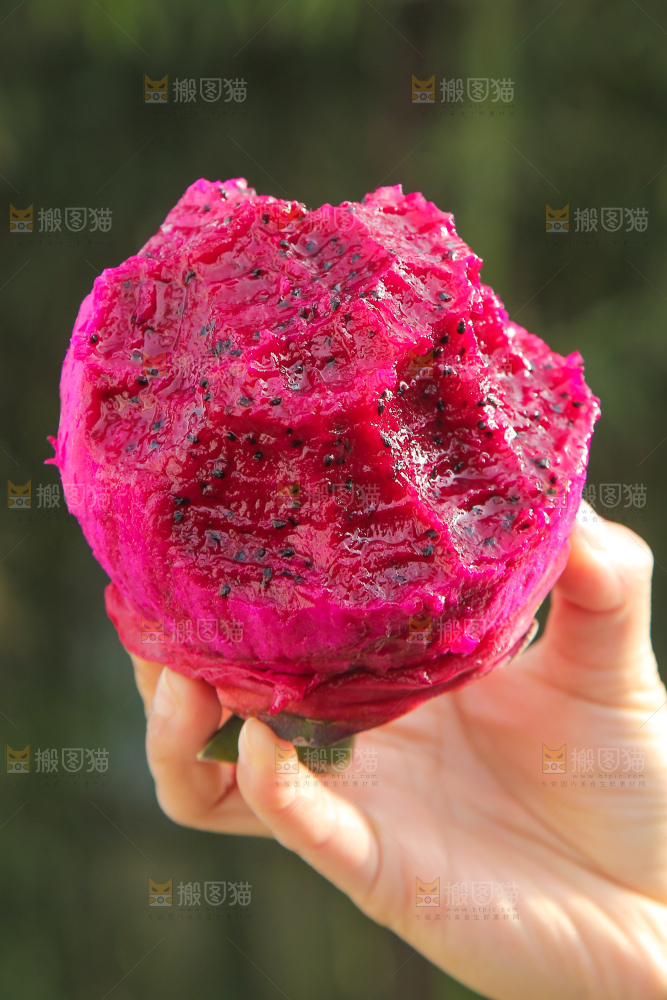 手里拿着咬过的红肉火龙果