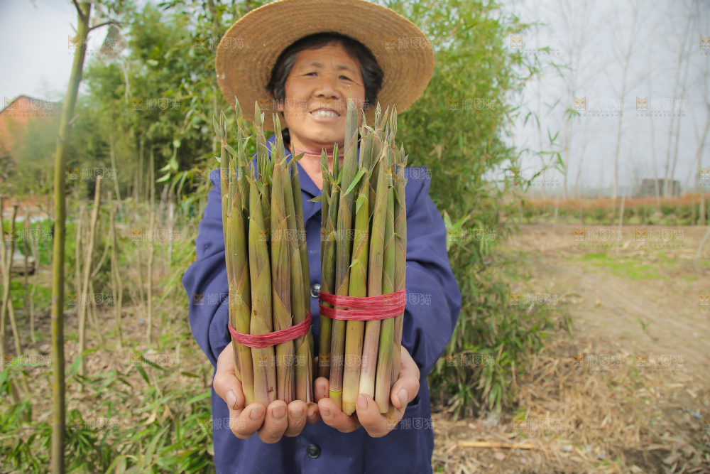 手里拿着小春笋