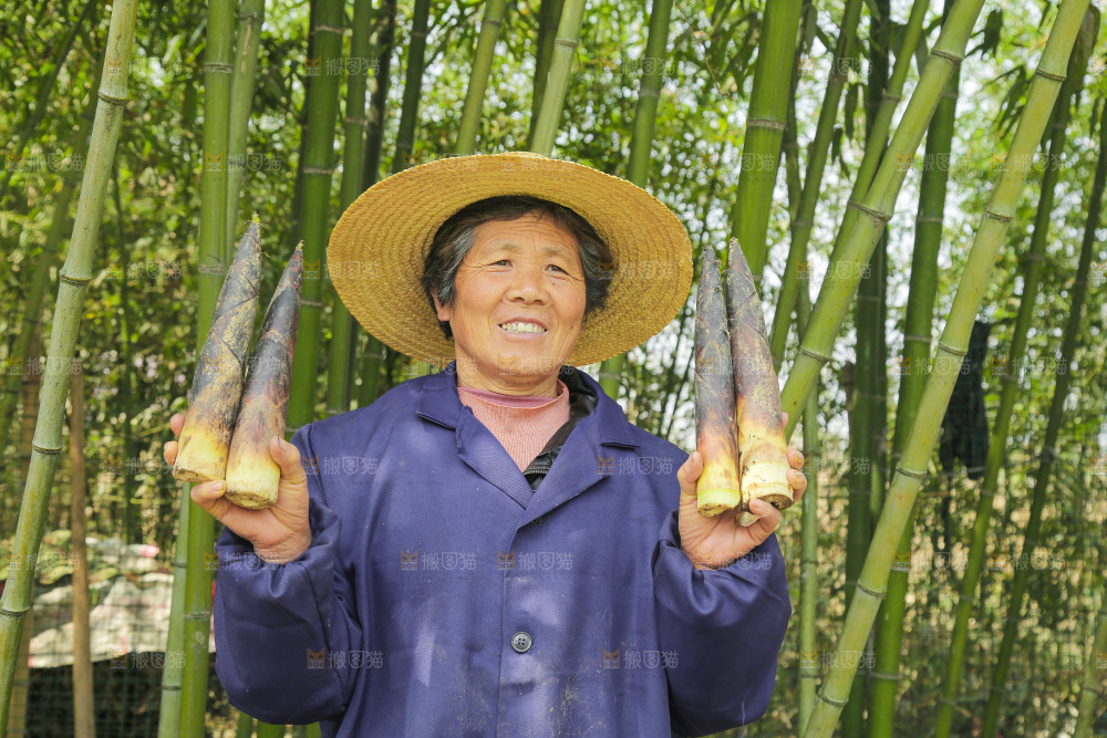 手里拿着临安春雷笋