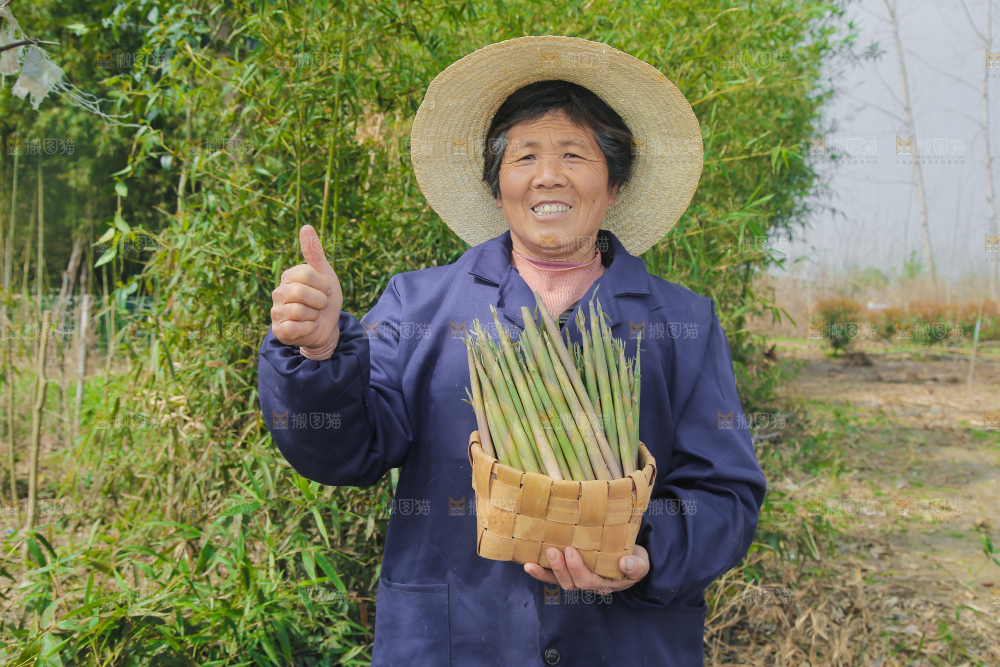 农民手里端着一篮小山笋