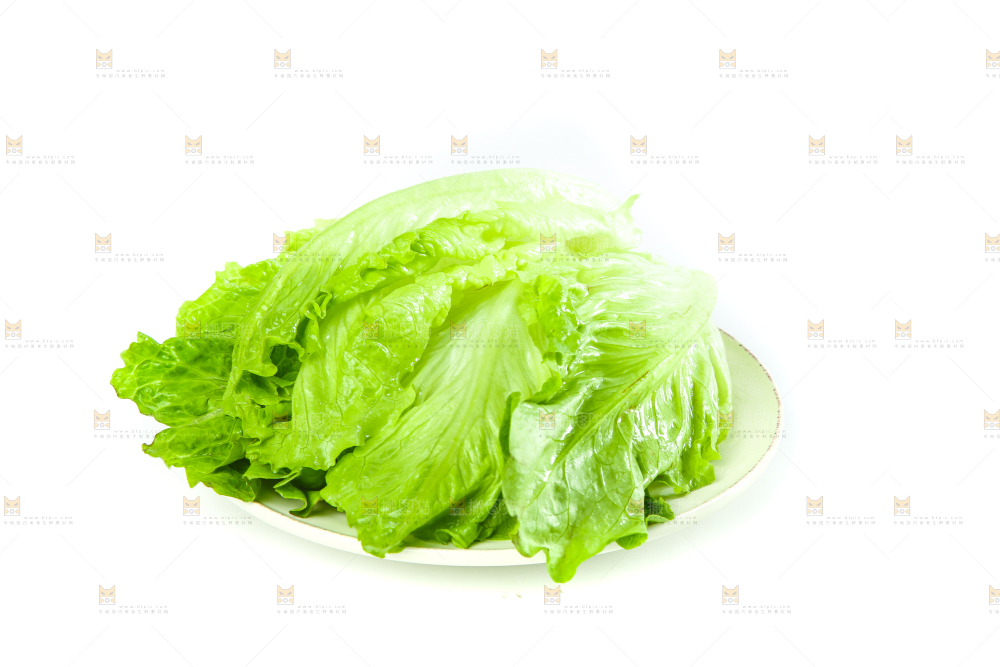 白底上的生菜