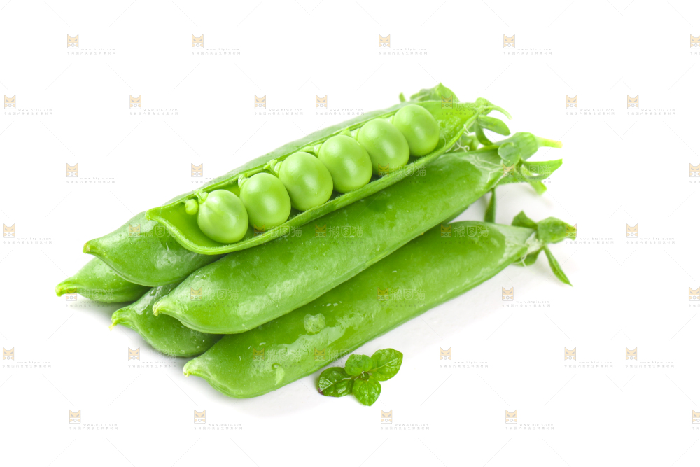 剥开的新鲜豌豆放在白底上